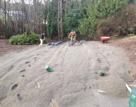 Septic field installation and backfilling in Victoria BC