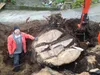 Thumbnail: Tree stump removal with excavator