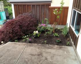 Concrete landing, stairs and sidewalk in Victoria BC