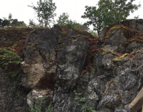 Dangerous cliff rock removal in Victoria BC