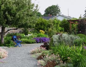 Natural Easy Care Landscape in Victoria BC