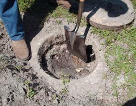 Neglected septic tank in Victoria BC