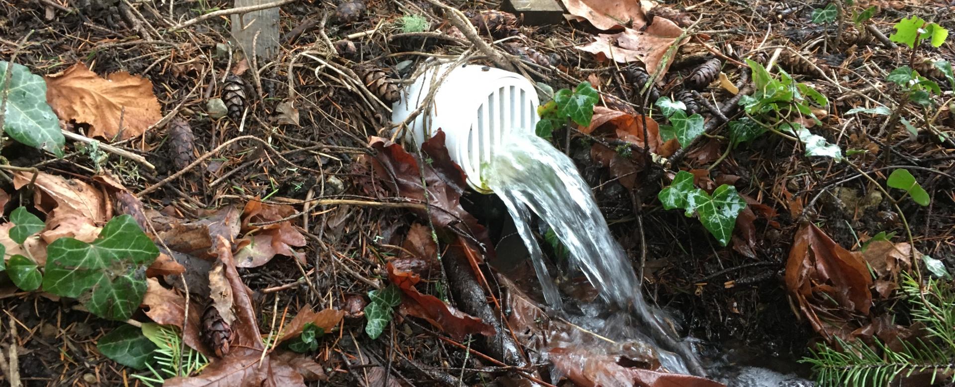 Curtain Drains in action.